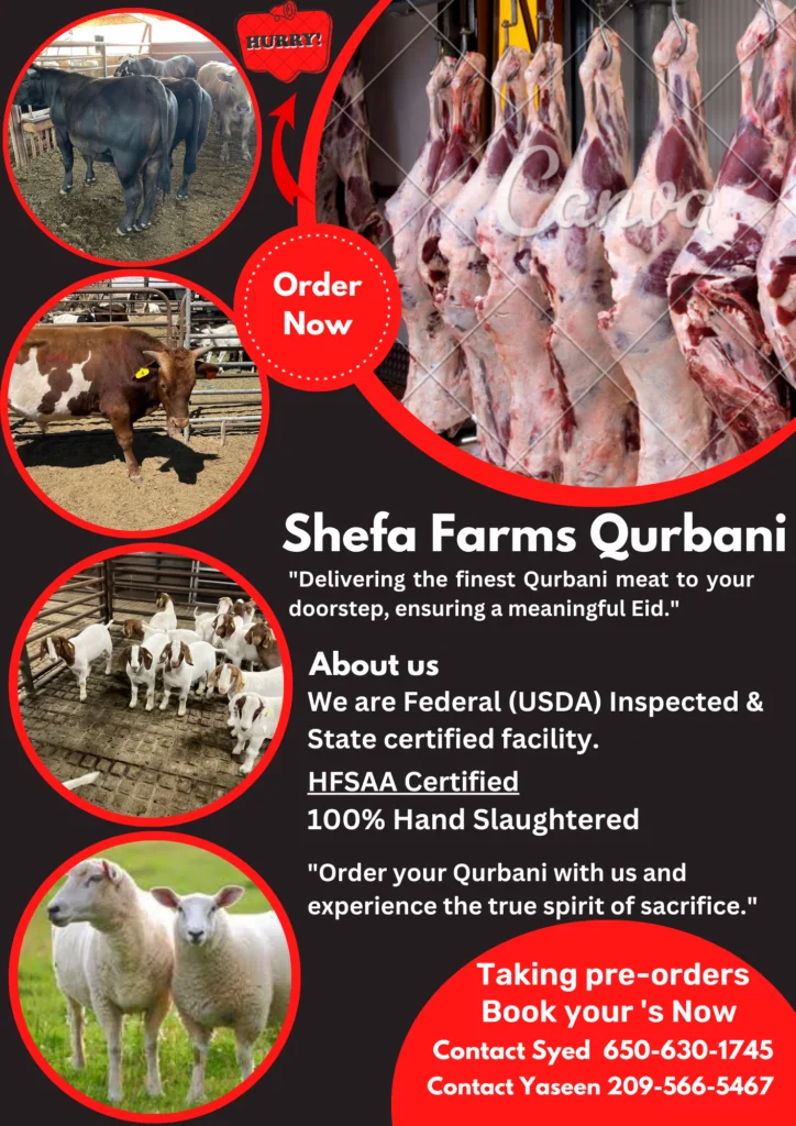 Qurbani.org