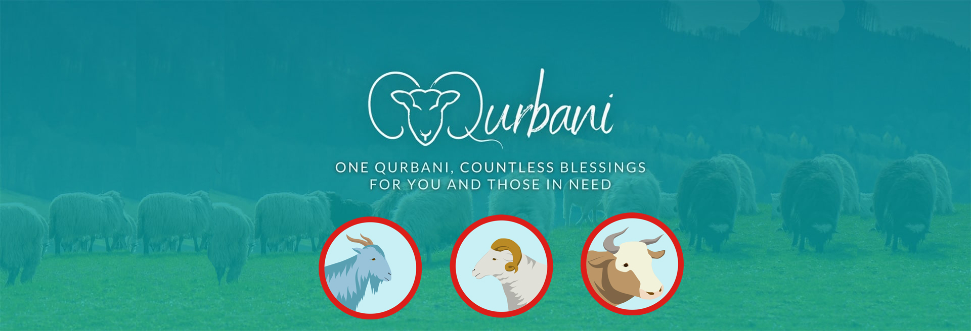 Qurbani.org